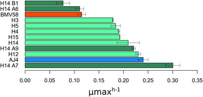 Differential Contribution of the Parental Genomes to a S. cerevisiae × S. uvarum Hybrid, Inferred by Phenomic, Genomic, and Transcriptomic Analyses, at Different Industrial Stress Conditions